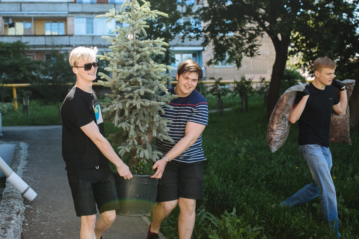Выпускники сажают елки в подарок школе 2022